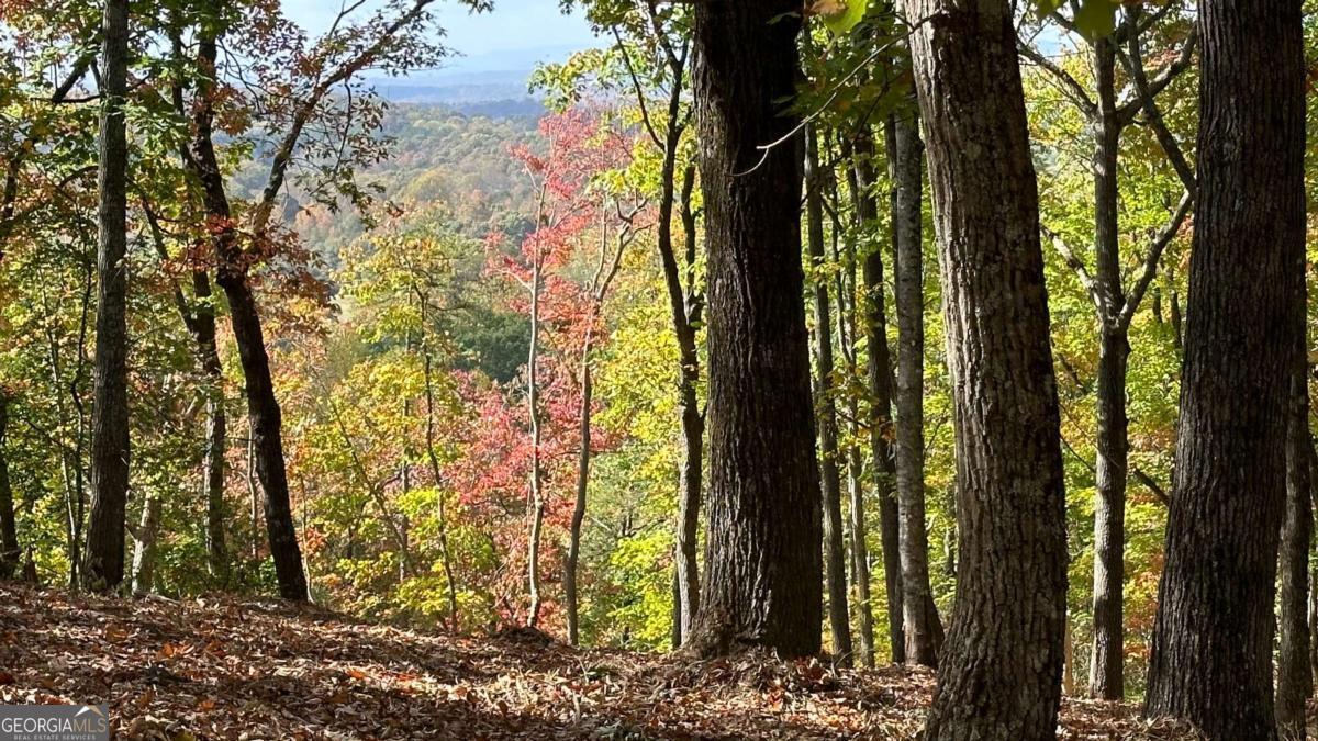 Lot 28 Long Mountain Road Cleveland GA 30528