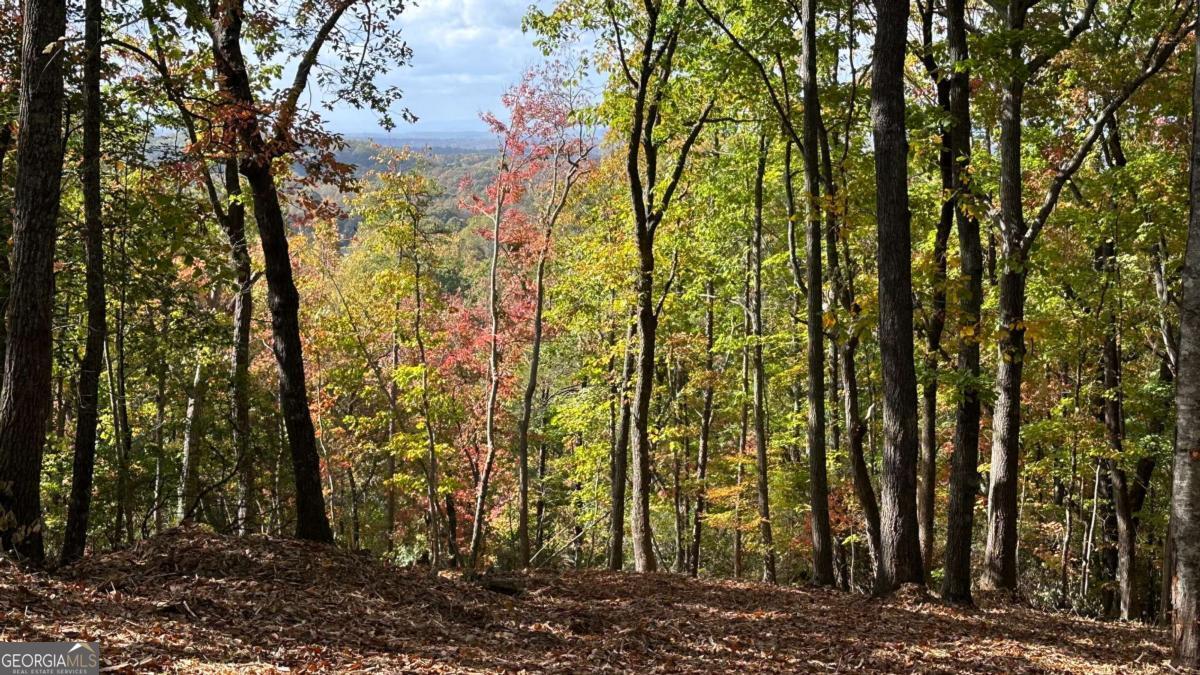 Lot 28 Long Mountain Road Cleveland GA 30528