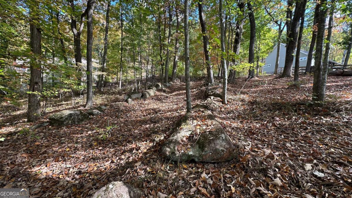 Lot 28 Long Mountain Road Cleveland GA 30528