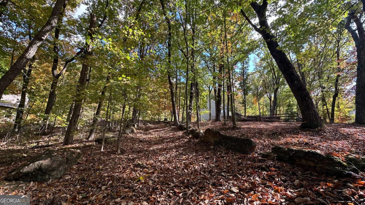 Lot 28 Long Mountain Road Cleveland GA 30528