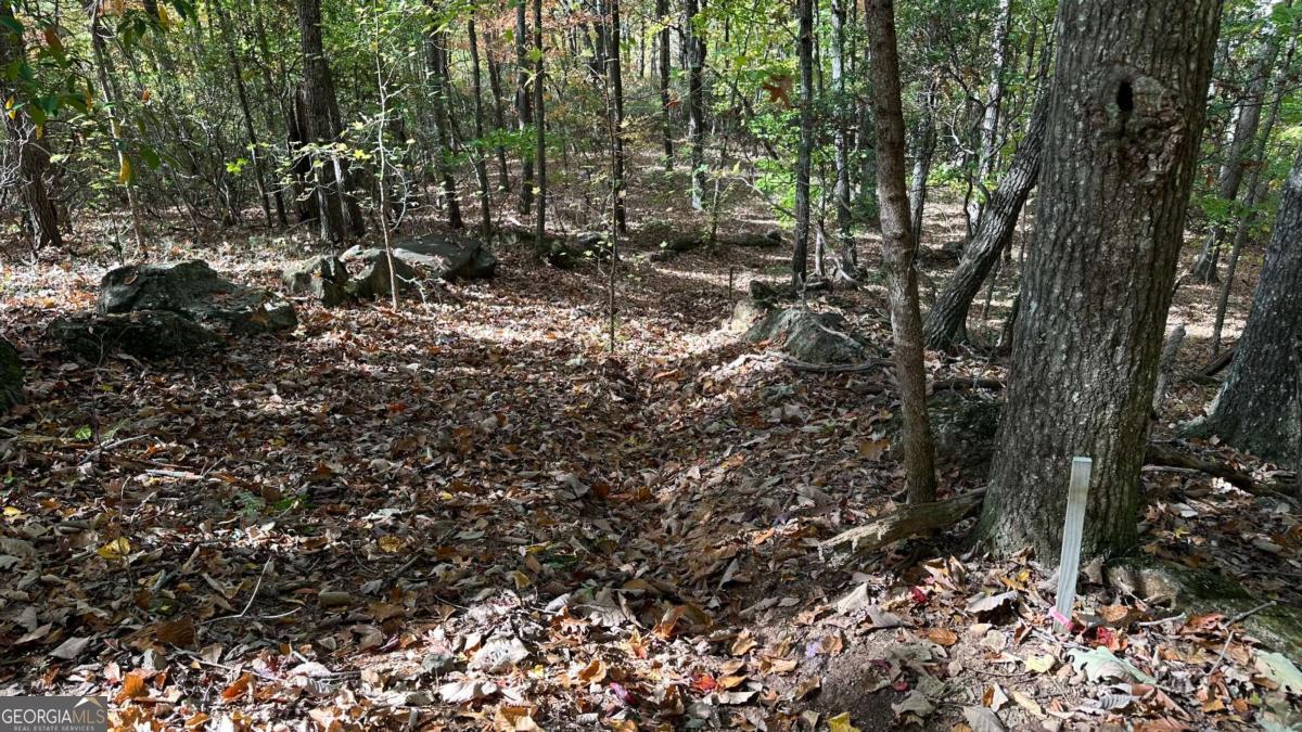 Lot 28 Long Mountain Road Cleveland GA 30528