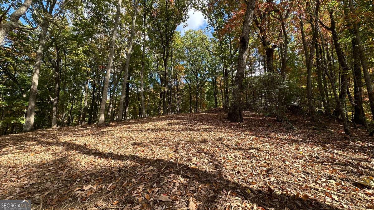 Lot 28 Long Mountain Road Cleveland GA 30528