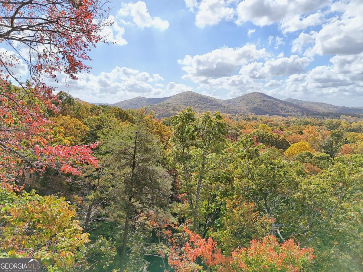 Lot 28 Long Mountain Road Cleveland GA 30528