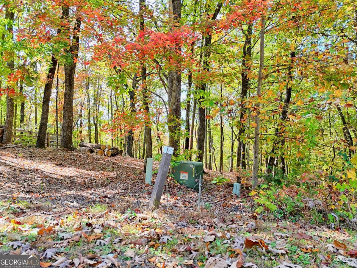 Lot 28 Long Mountain Road Cleveland GA 30528