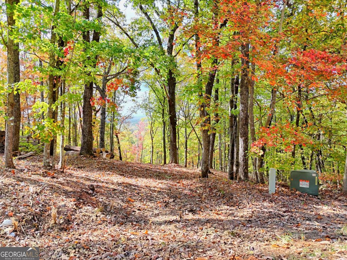 Lot 28 Long Mountain Road Cleveland GA 30528