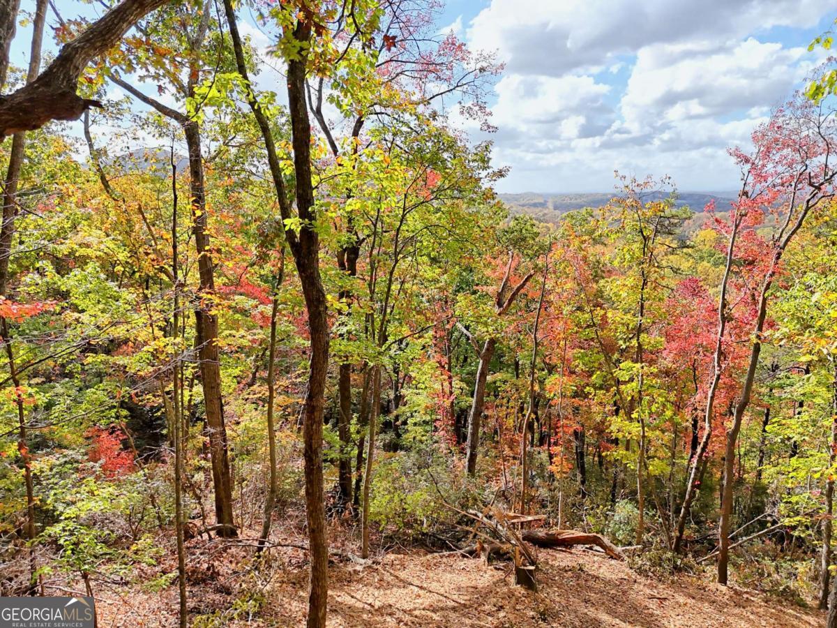 Lot 28 Long Mountain Road Cleveland GA 30528
