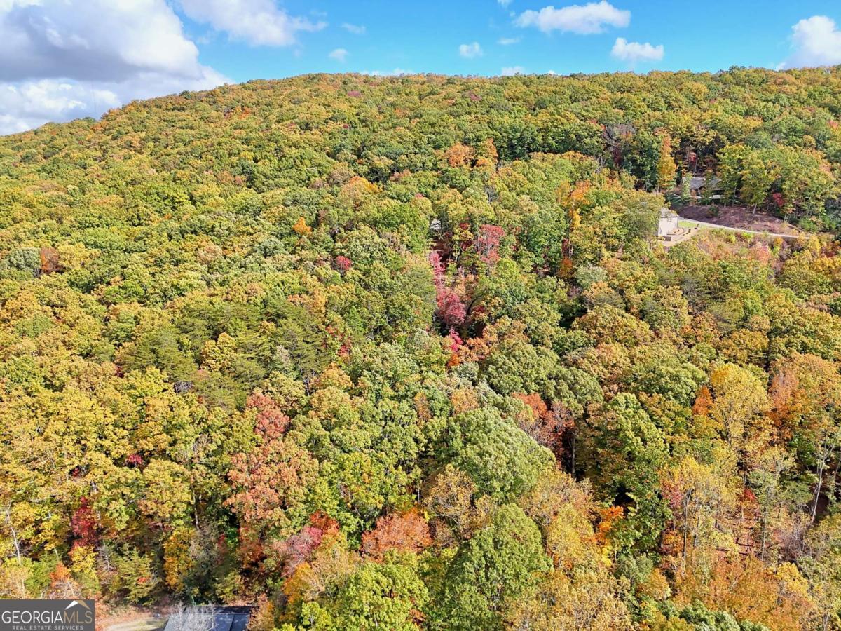 Lot 28 Long Mountain Road Cleveland GA 30528