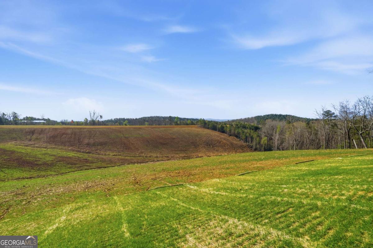 1927 Leeches Road Ellijay GA 30540