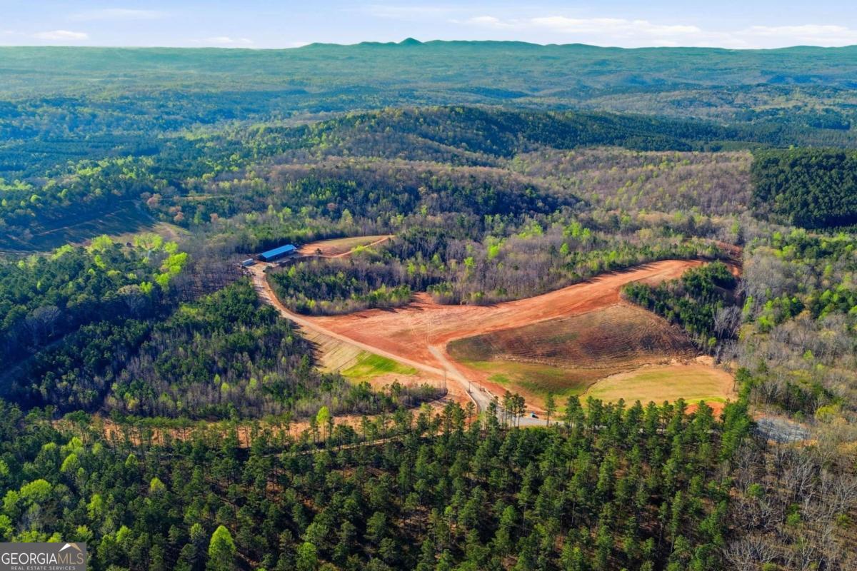 1927 Leeches Road Ellijay GA 30540