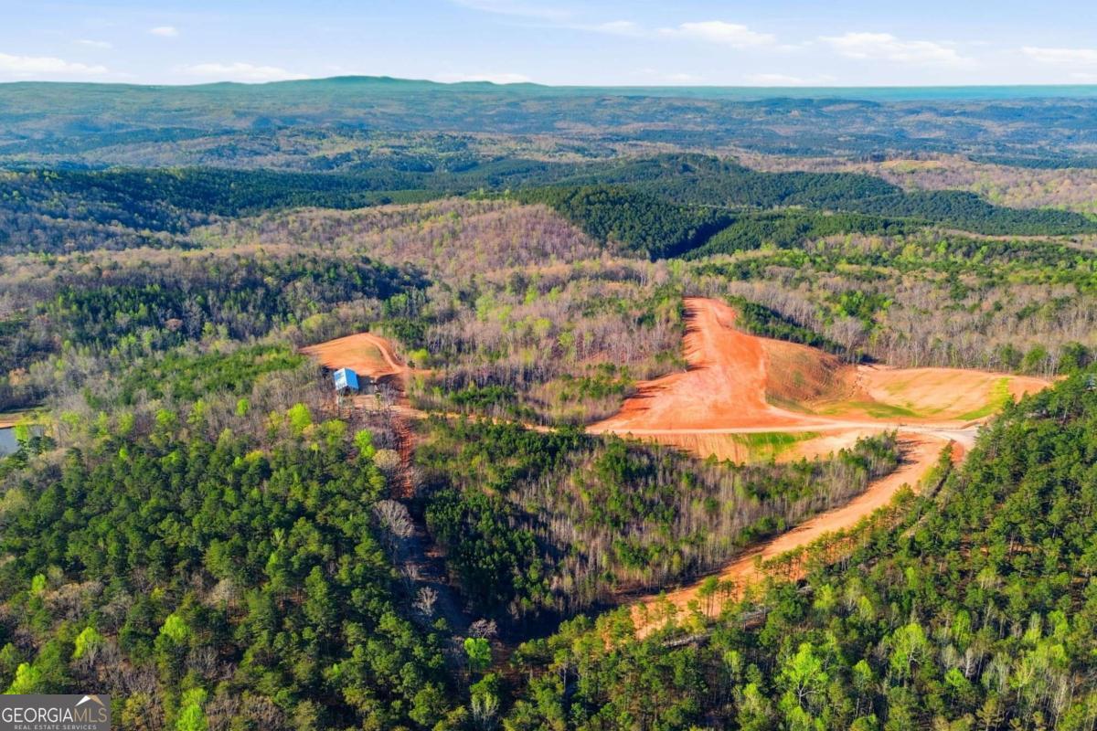 1927 Leeches Road Ellijay GA 30540