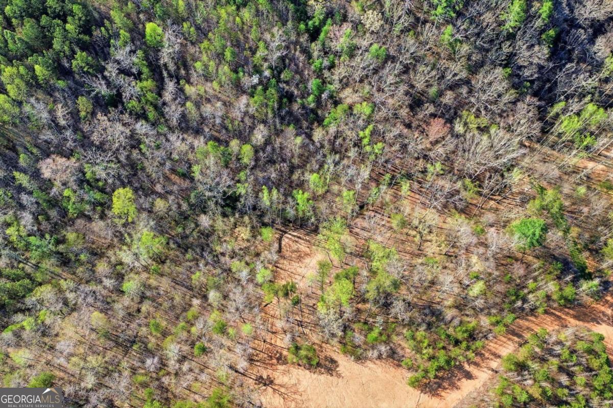 1927 Leeches Road Ellijay GA 30540