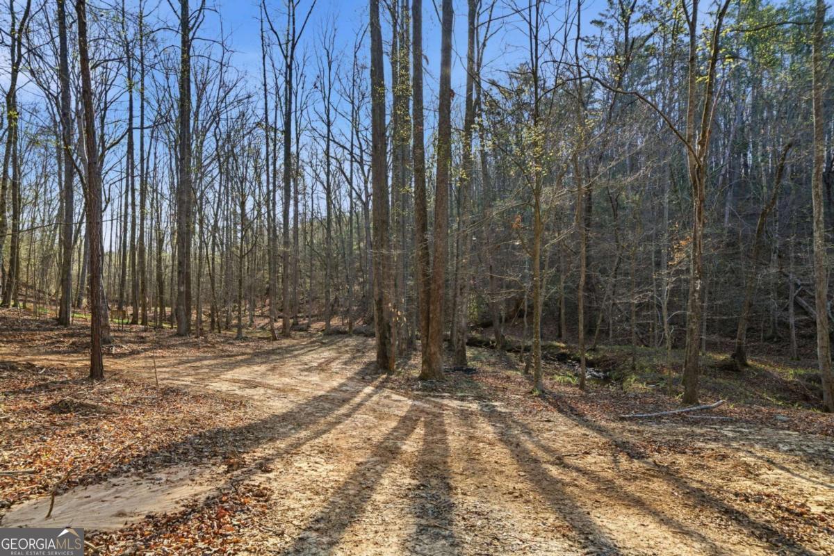 1927 Leeches Road Ellijay GA 30540