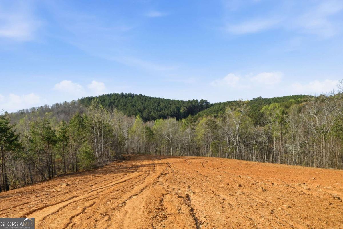 1927 Leeches Road Ellijay GA 30540