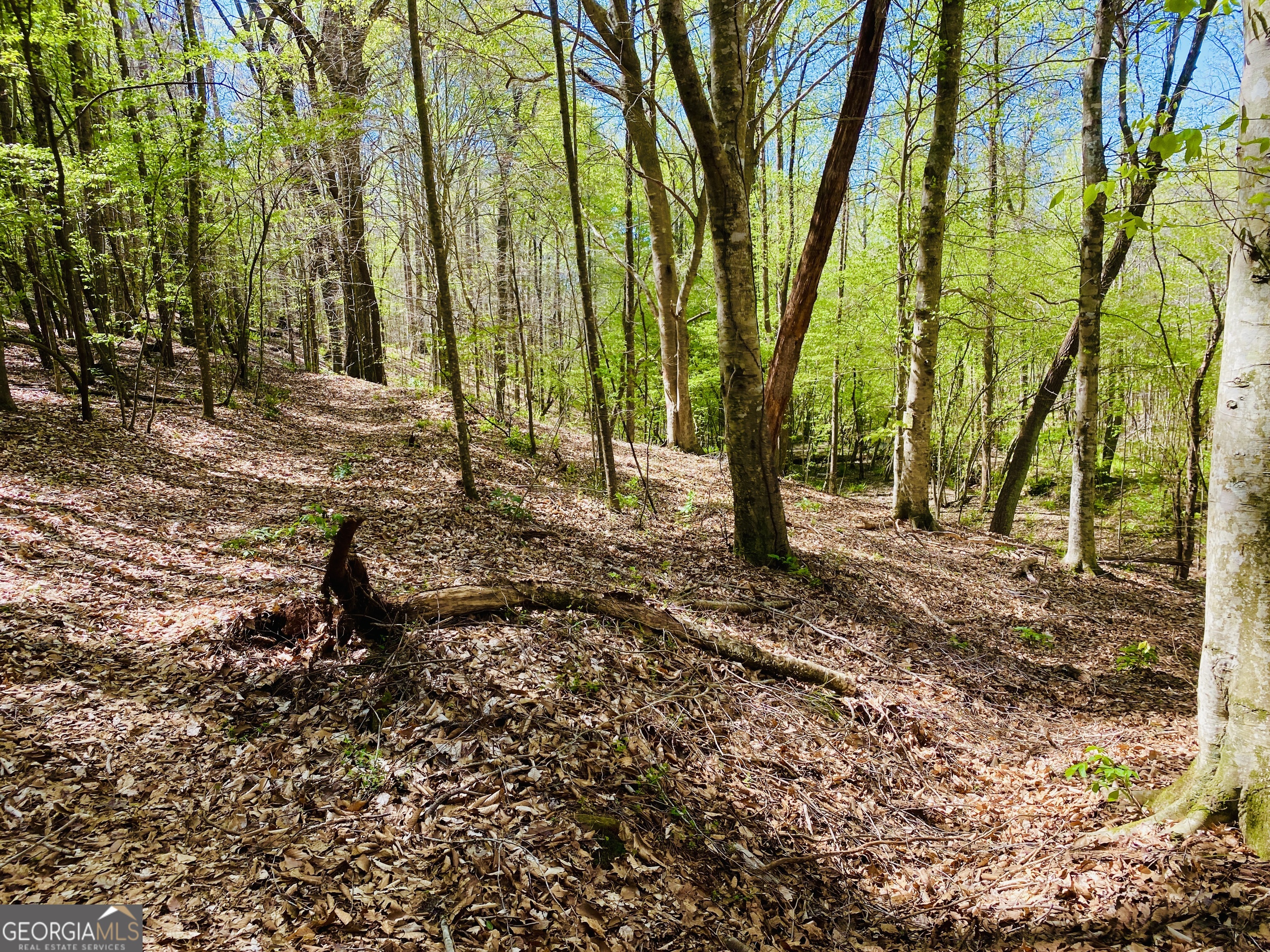 3 Curry Falls Trail Athens GA 30607