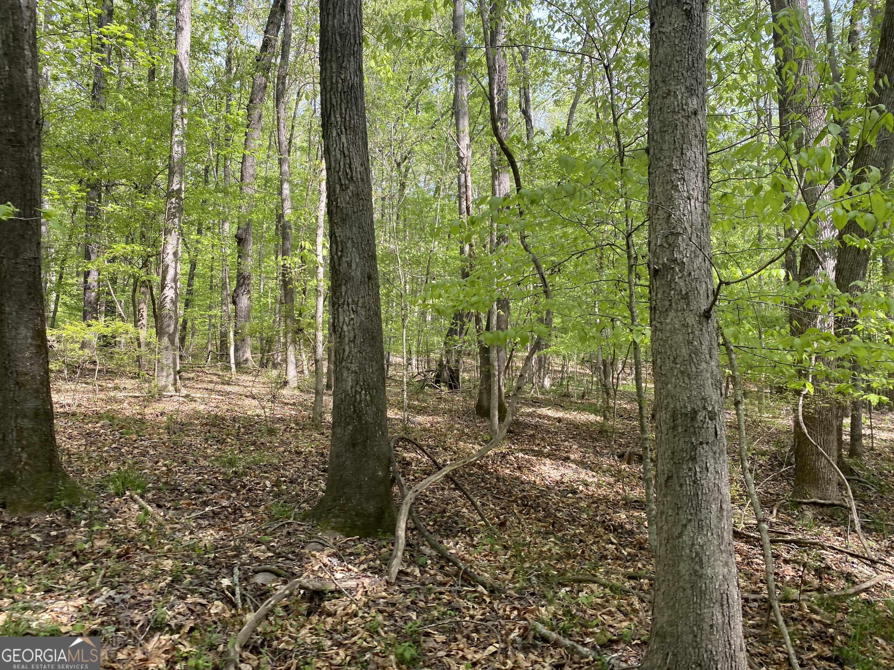 3 Curry Falls Trail Athens GA 30607