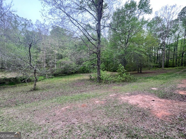 555 Highway 3 N Hampton GA 30228