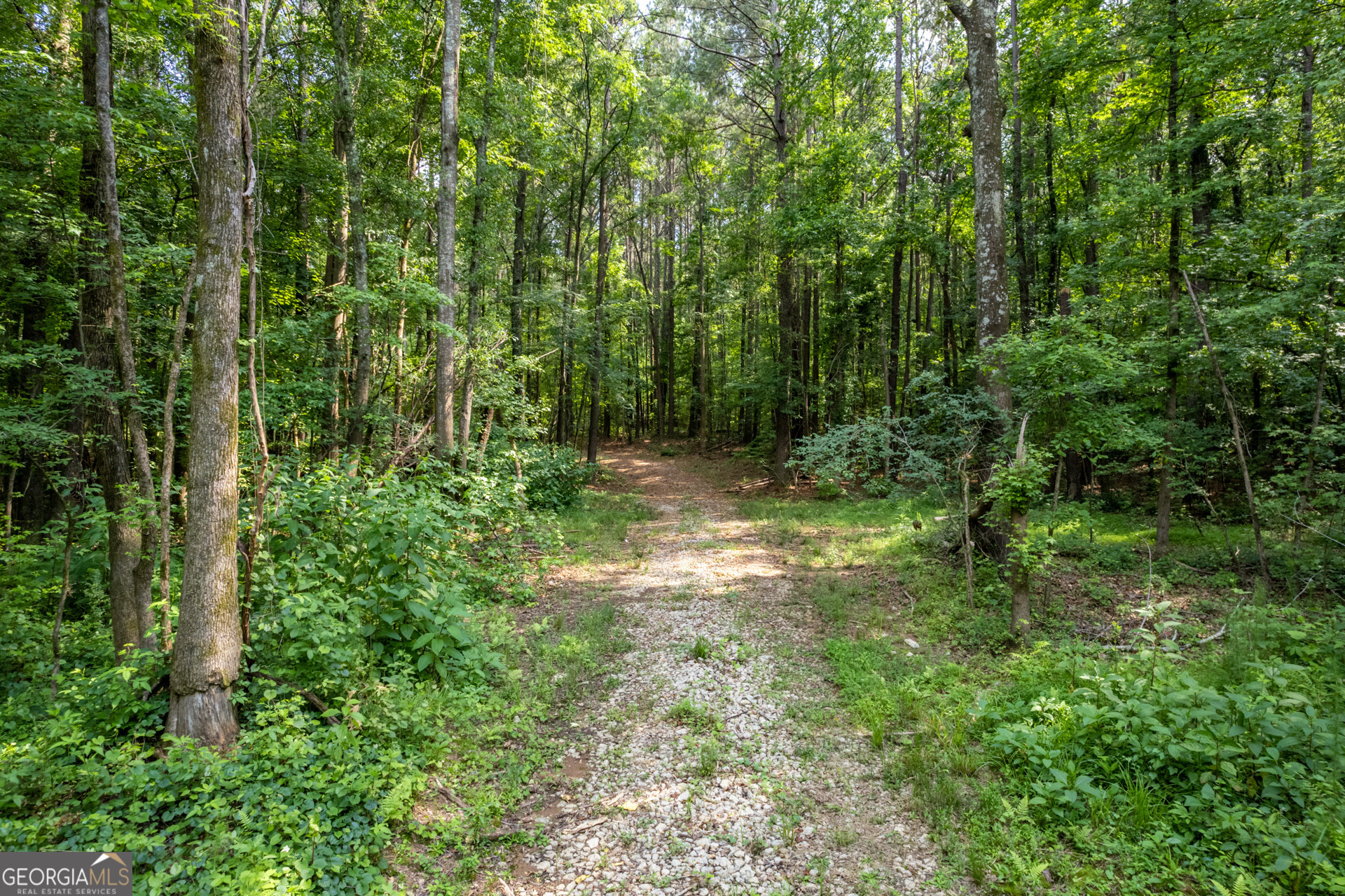 2535 Willow Lane Social Circle GA 30025