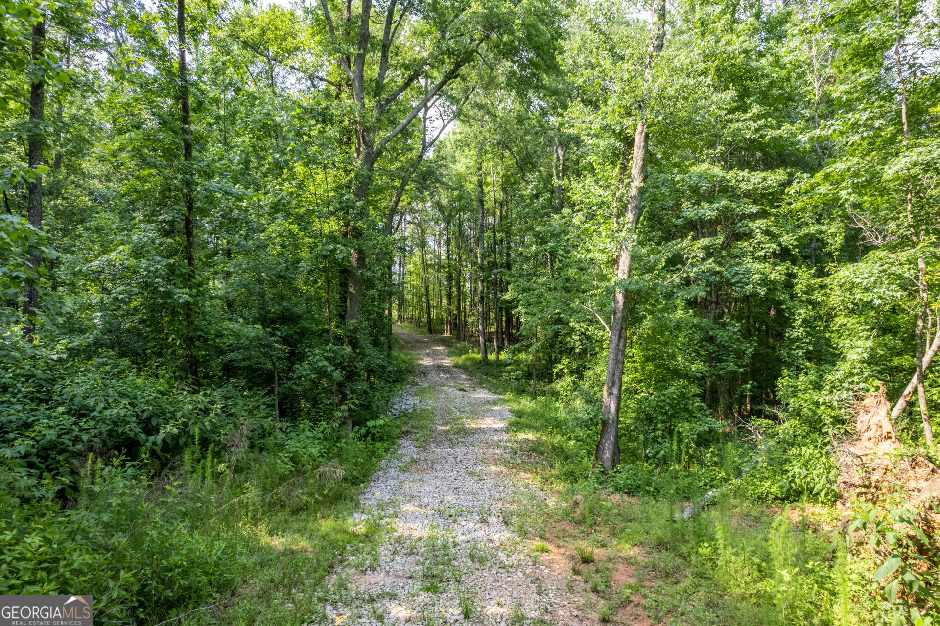 2535 Willow Lane Social Circle GA 30025