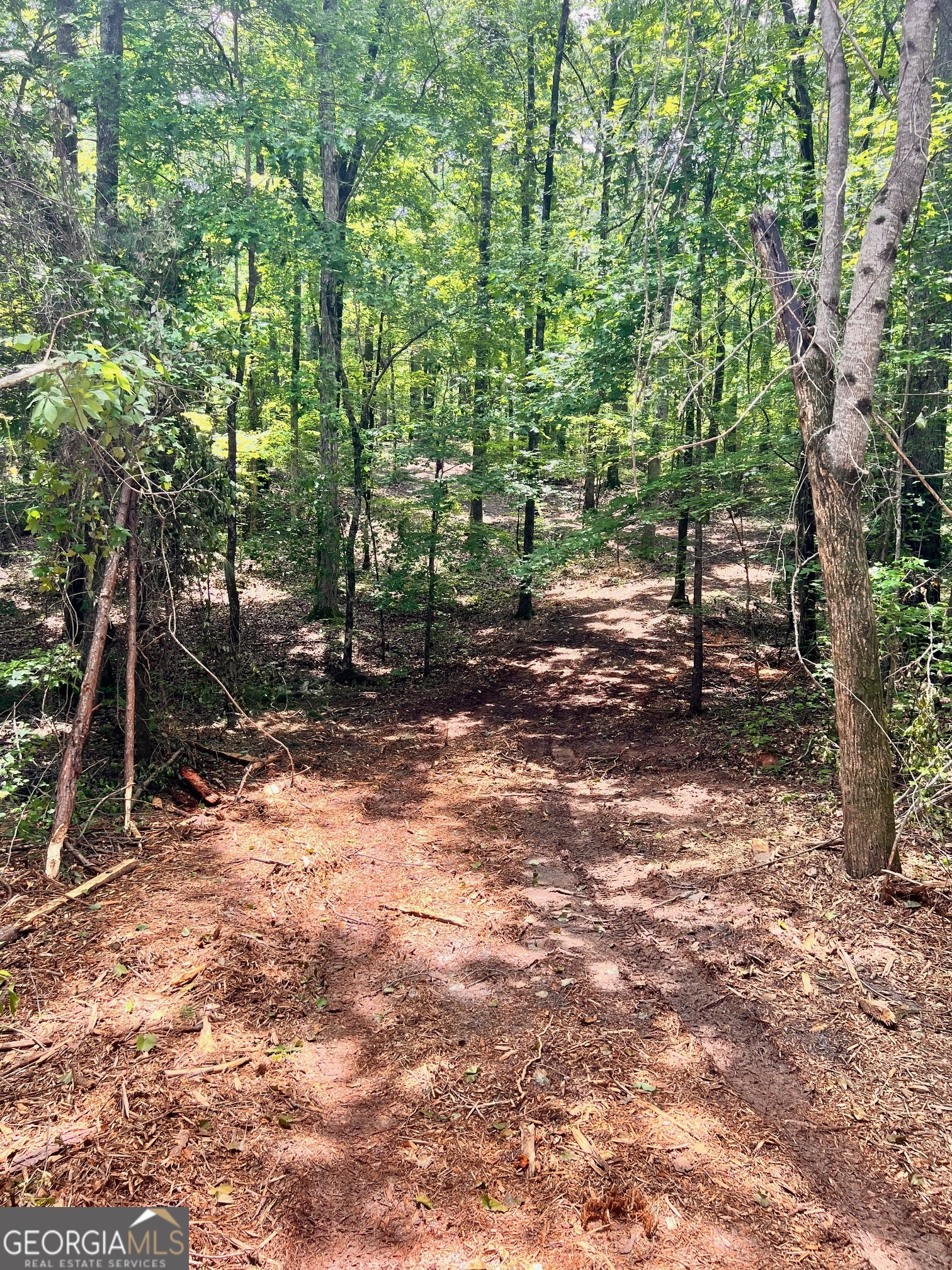 353 Retreat Trail Lagrange GA 30240