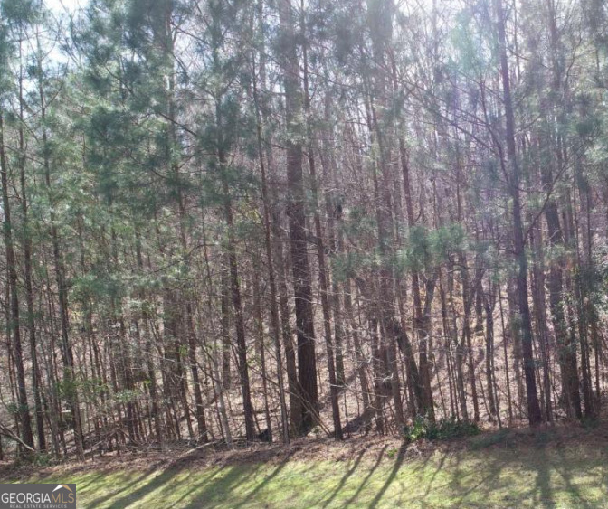 353 Retreat Trail Lagrange GA 30240