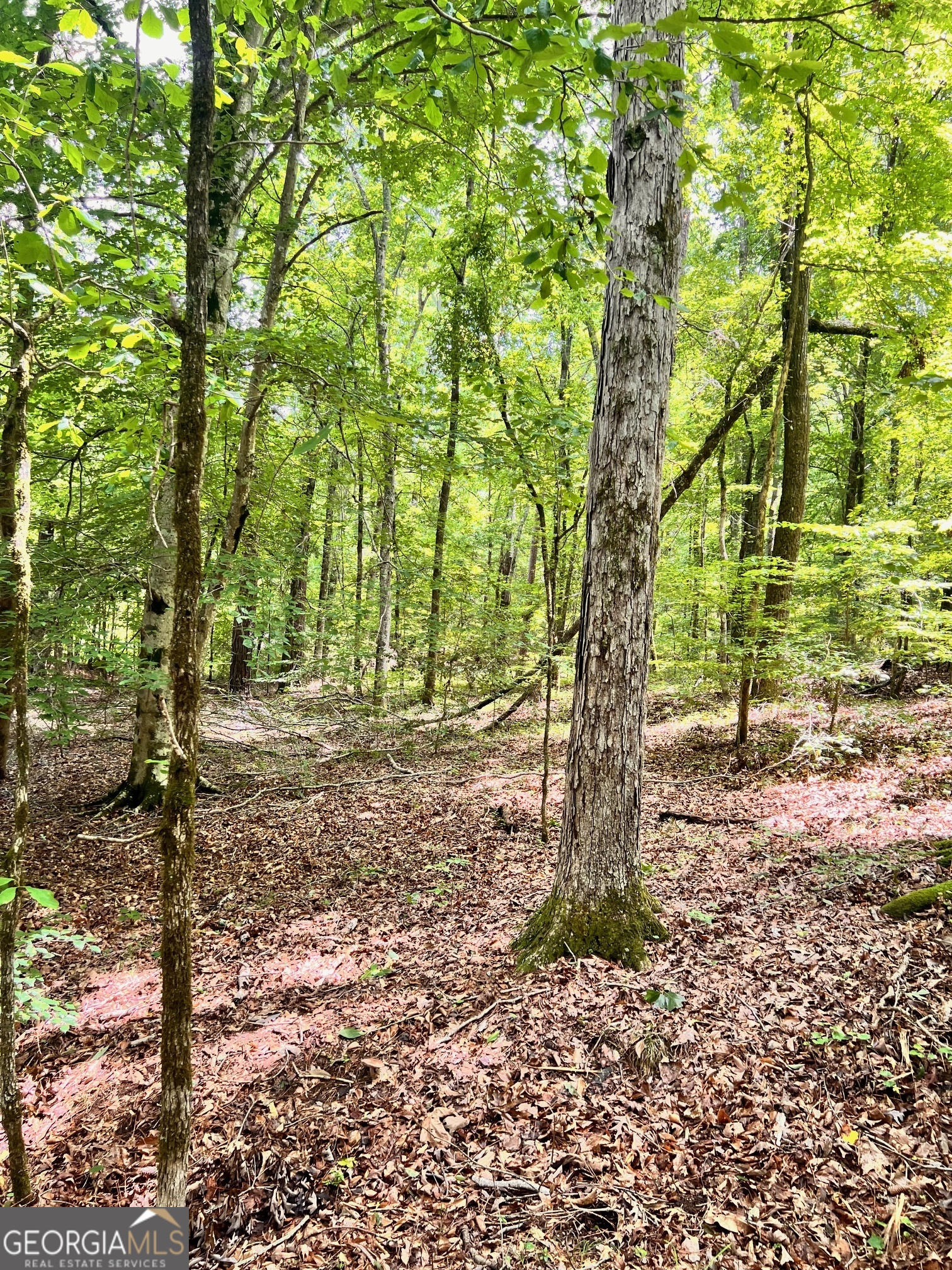 353 Retreat Trail Lagrange GA 30240