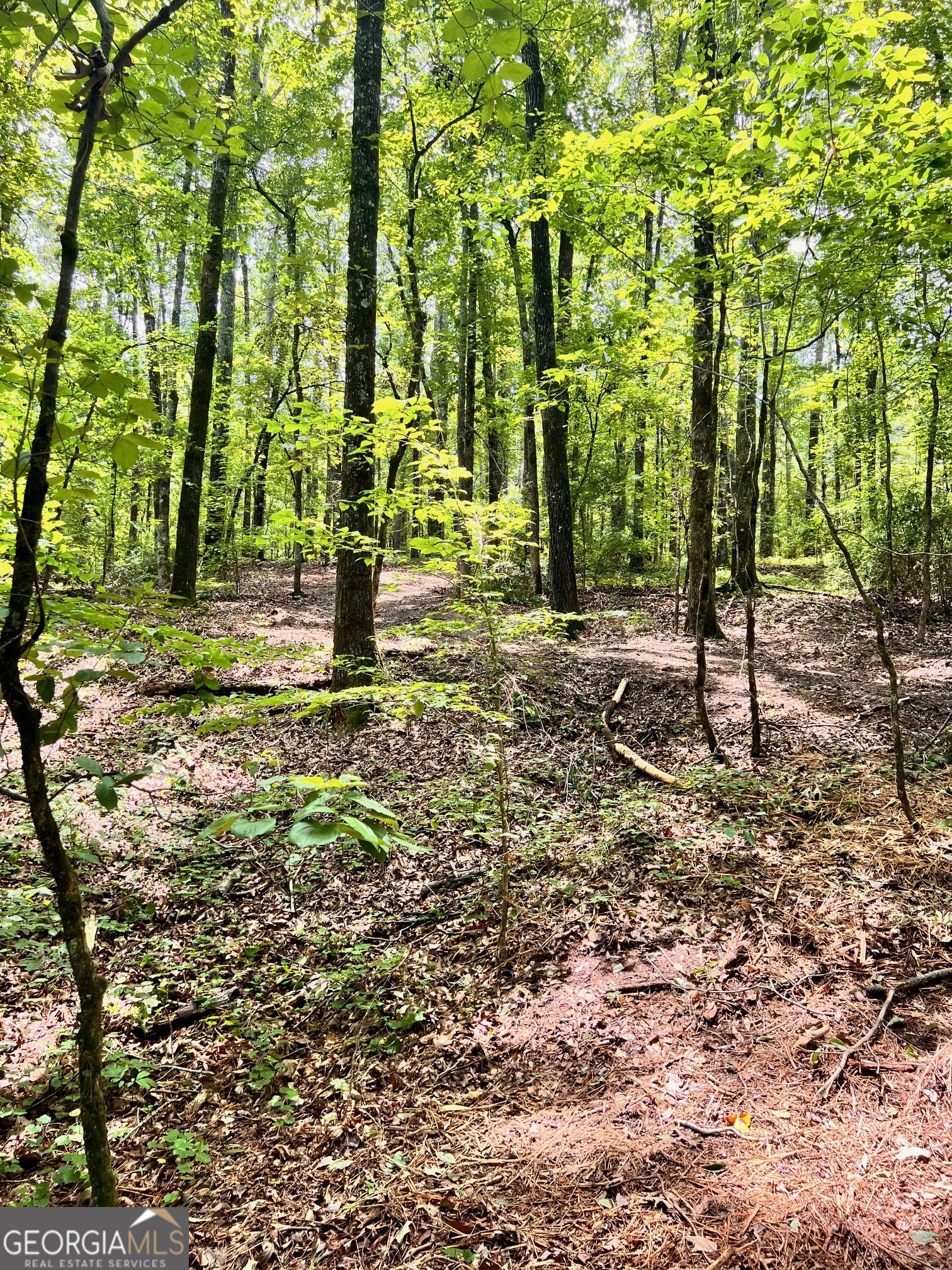 353 Retreat Trail Lagrange GA 30240