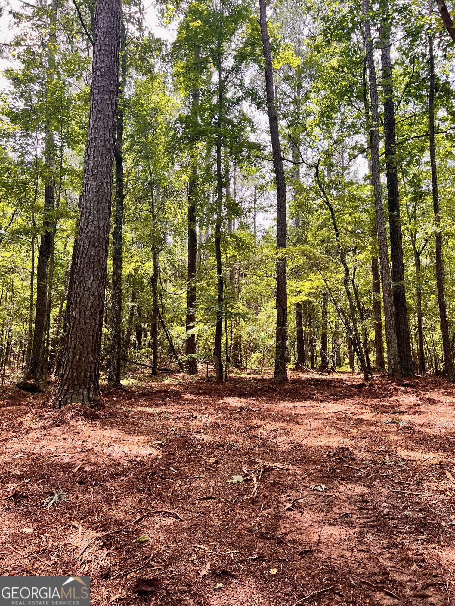 353 Retreat Trail Lagrange GA 30240