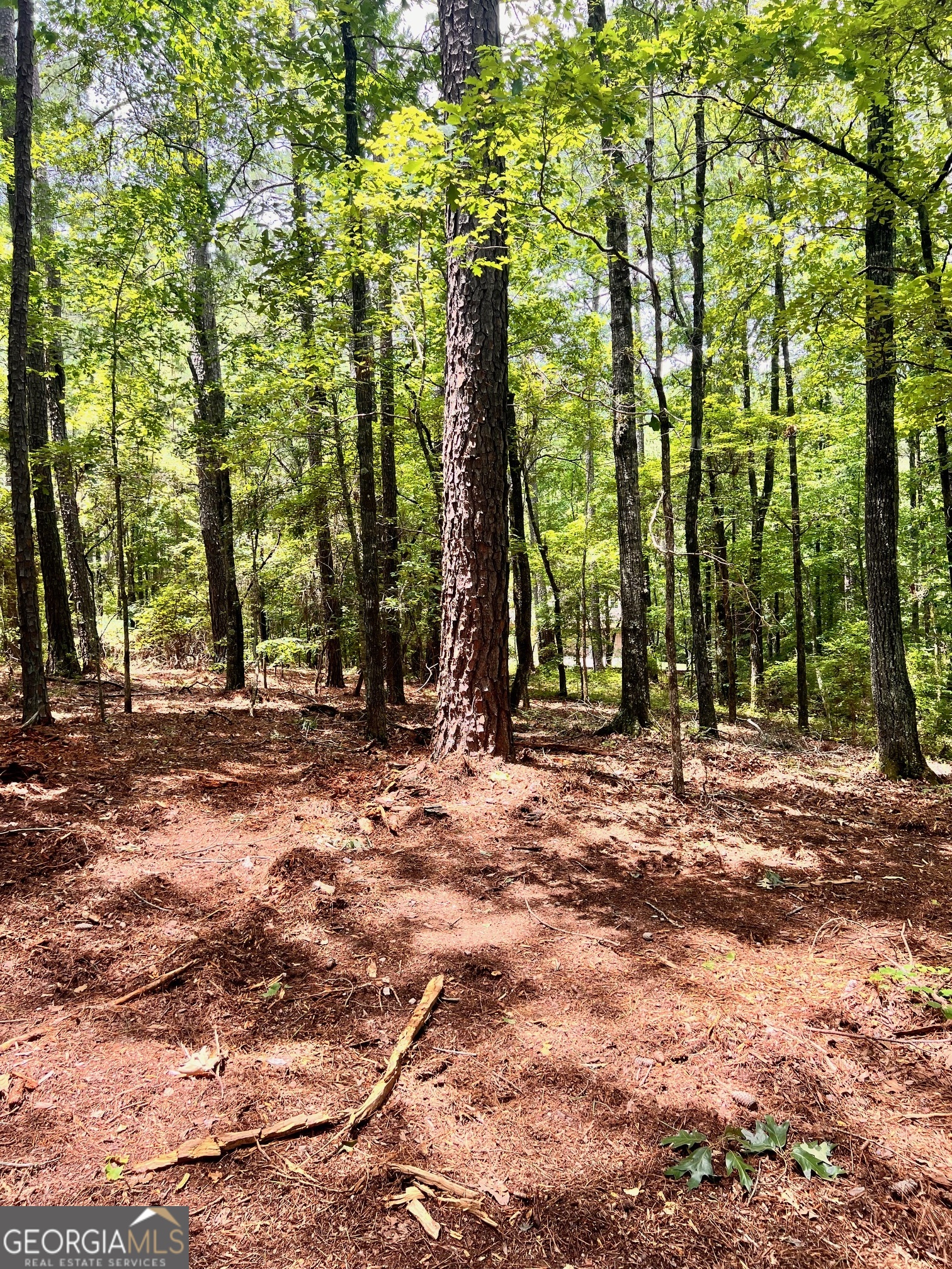 353 Retreat Trail Lagrange GA 30240