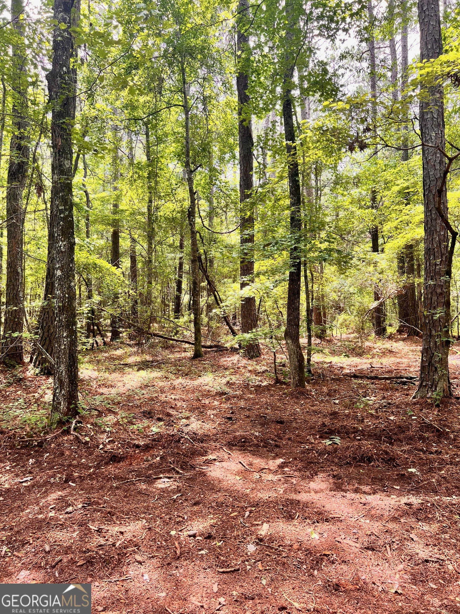 353 Retreat Trail Lagrange GA 30240