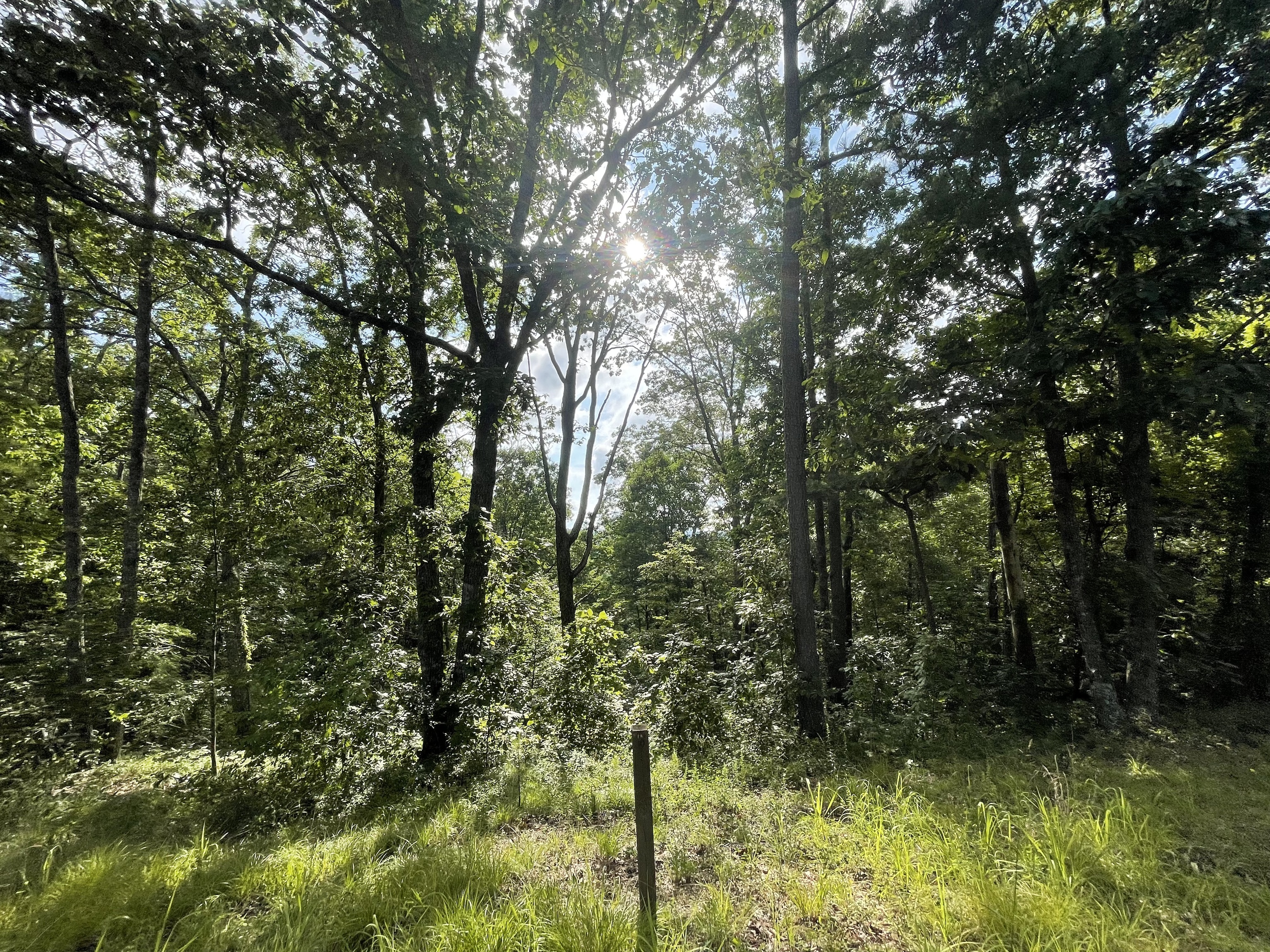 101 Adair Drive Ranger GA 30734