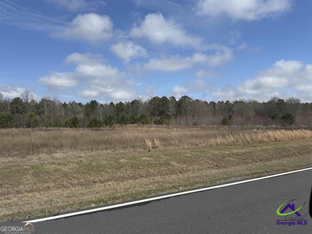 0 Whitlfield Road Elko GA 31025