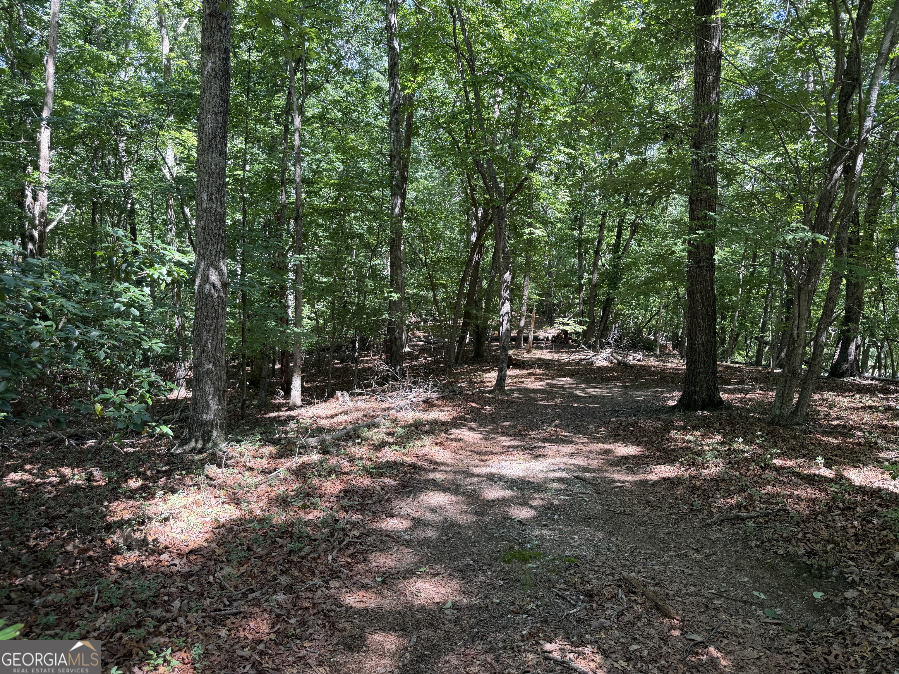 7 Ivy Hills Drive Cleveland GA 30528