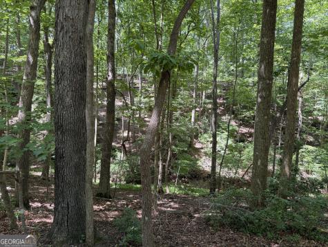 7 Ivy Hills Drive Cleveland GA 30528