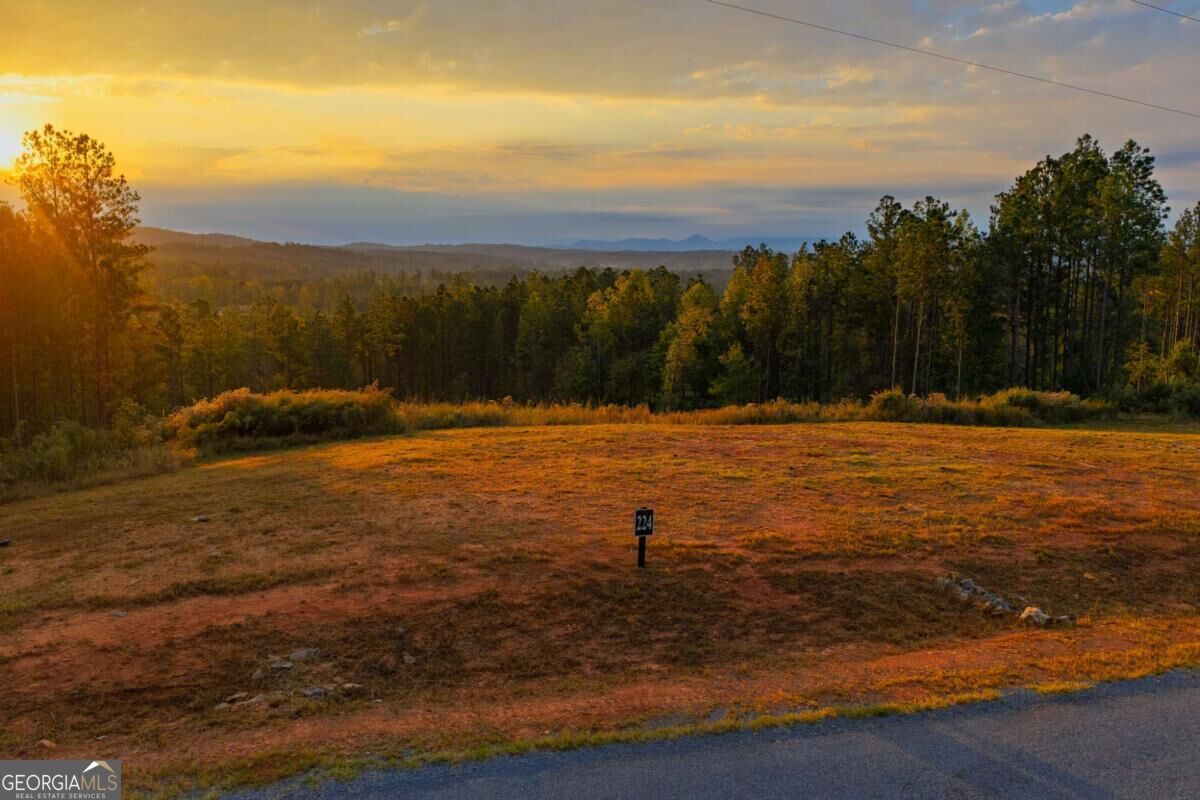 Lot 224 W Vista Ridge Parkway Talking Rock GA 30175
