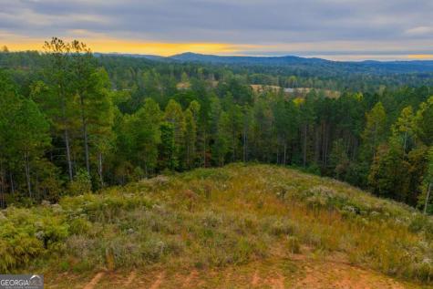Lot 224 W Vista Ridge Parkway Talking Rock GA 30175