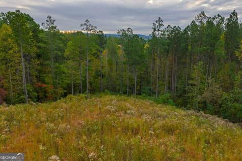 Lot 224 W Vista Ridge Parkway Talking Rock GA 30175