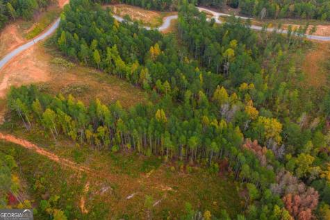 Lot 224 W Vista Ridge Parkway Talking Rock GA 30175