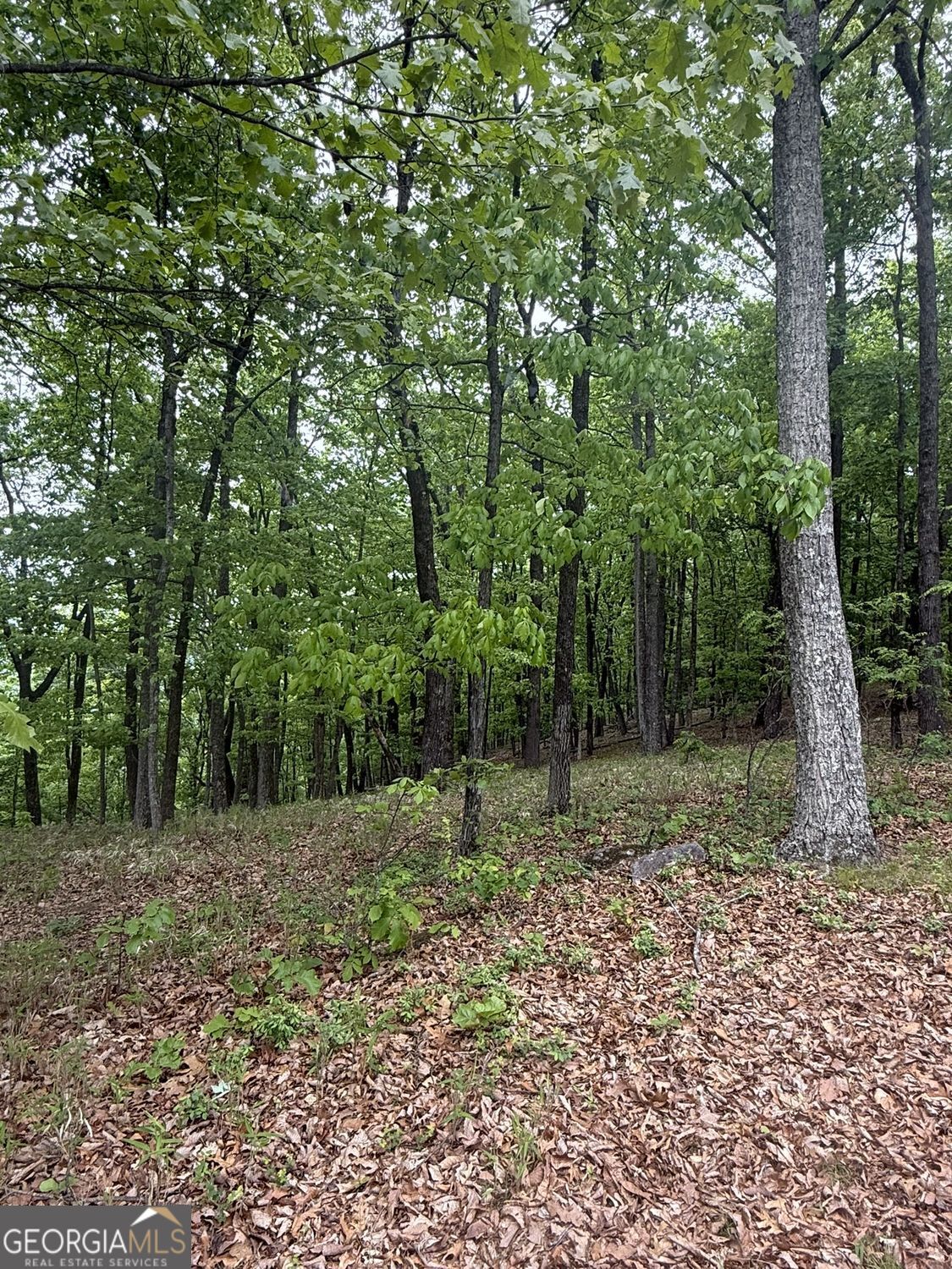 Lot 38 Mountainside Drive Cleveland GA 30528