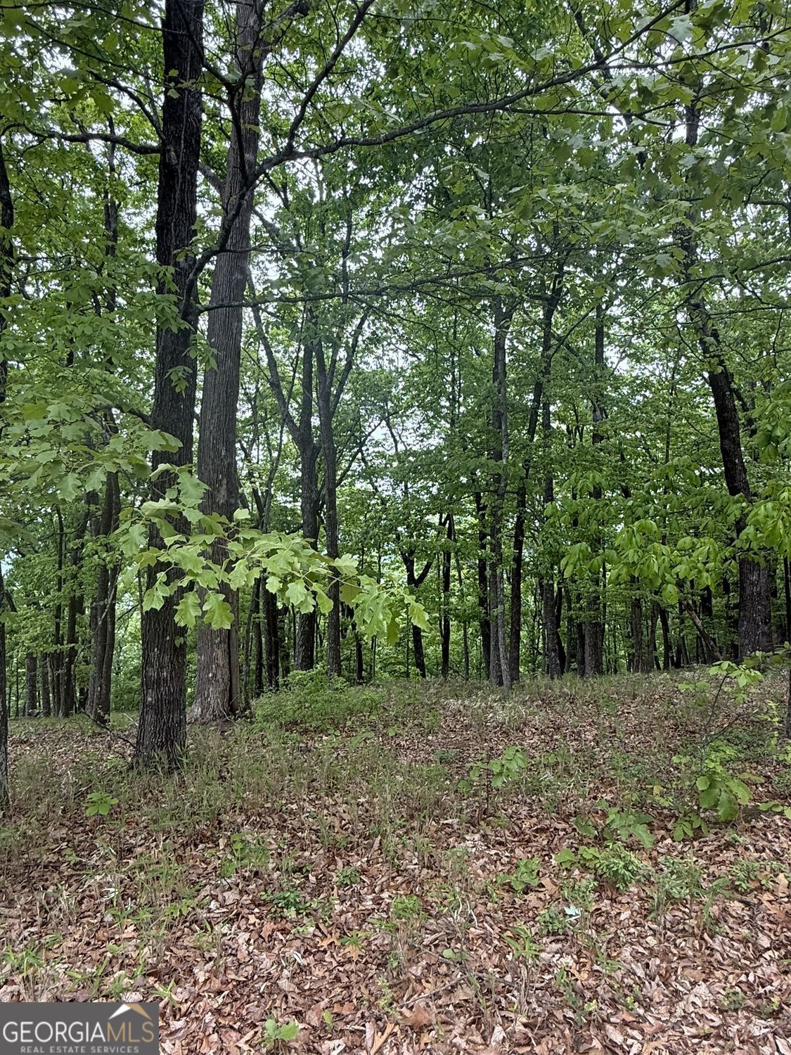 Lot 38 Mountainside Drive Cleveland GA 30528