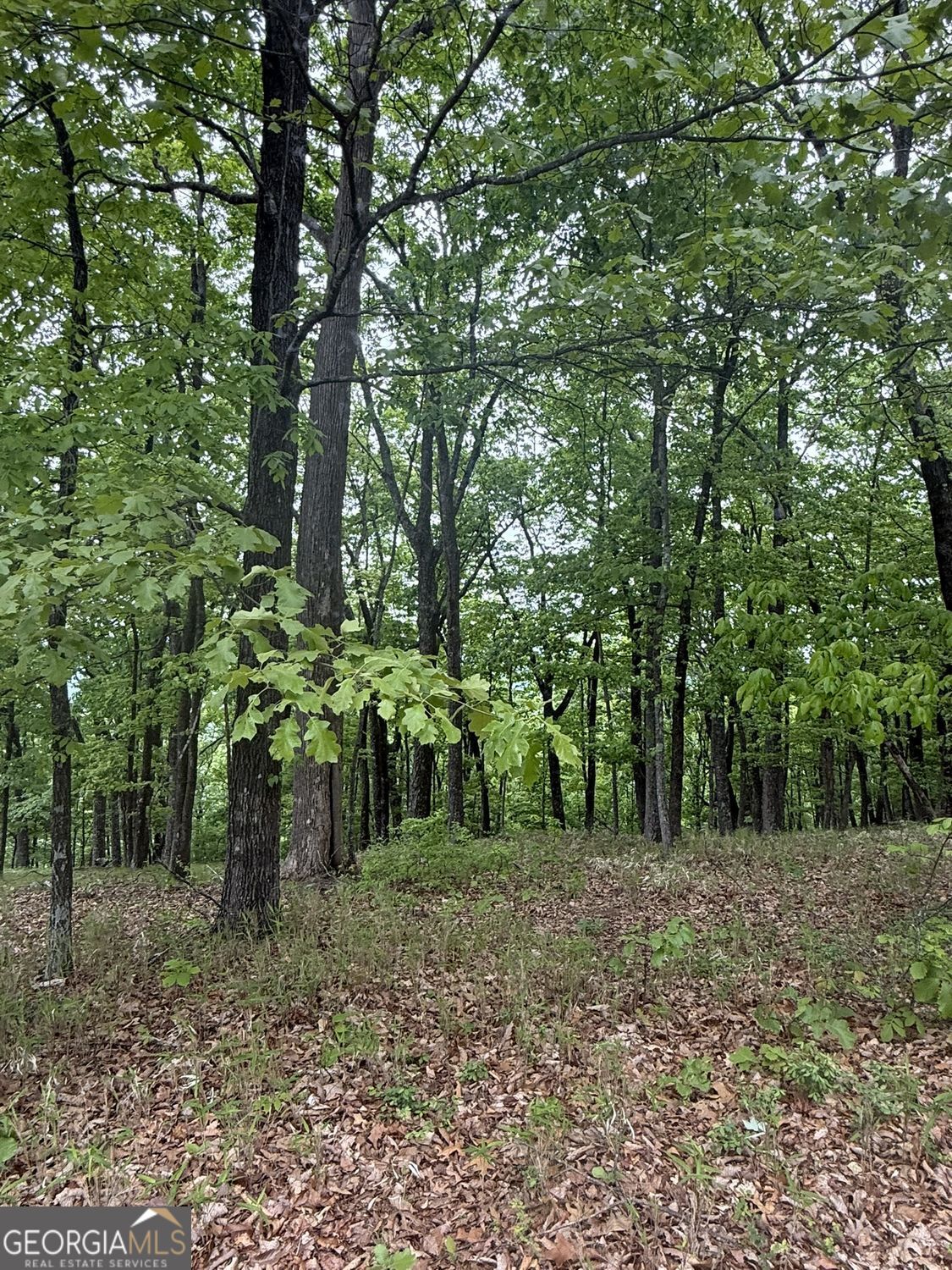 Lot 38 Mountainside Drive Cleveland GA 30528