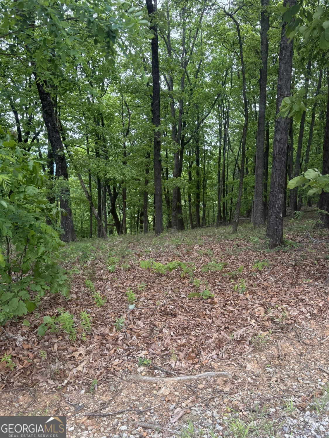 Lot 38 Mountainside Drive Cleveland GA 30528