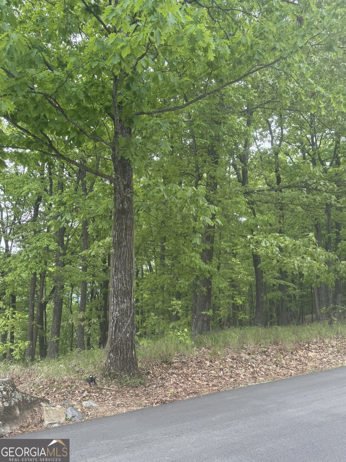 Lot 38 Mountainside Drive Cleveland GA 30528