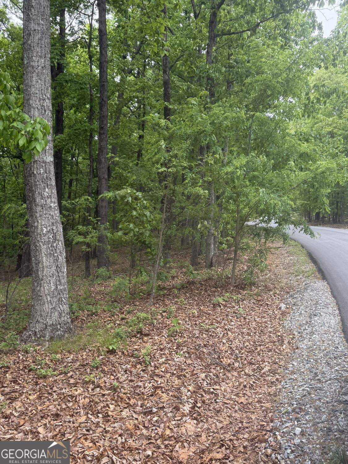 Lot 38 Mountainside Drive Cleveland GA 30528