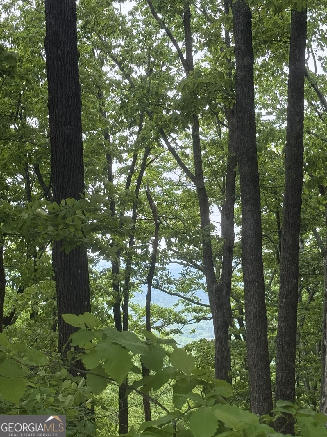 Lot 38 Mountainside Drive Cleveland GA 30528