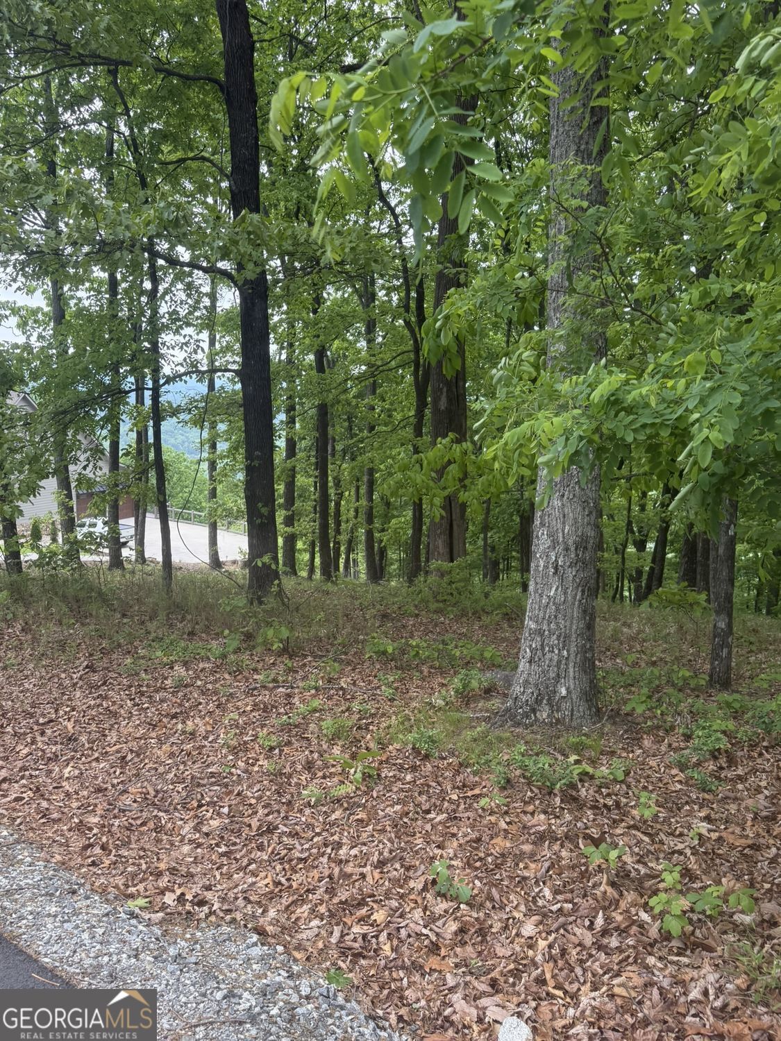 Lot 38 Mountainside Drive Cleveland GA 30528