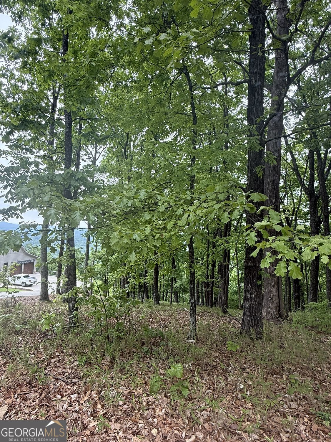 Lot 38 Mountainside Drive Cleveland GA 30528