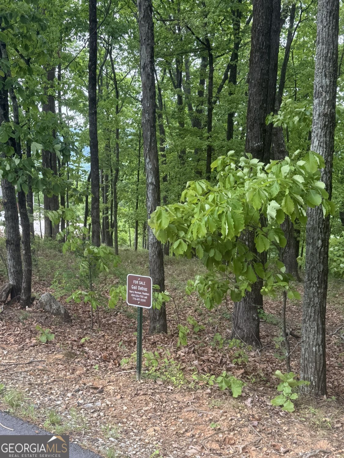 Lot 38 Mountainside Drive Cleveland GA 30528