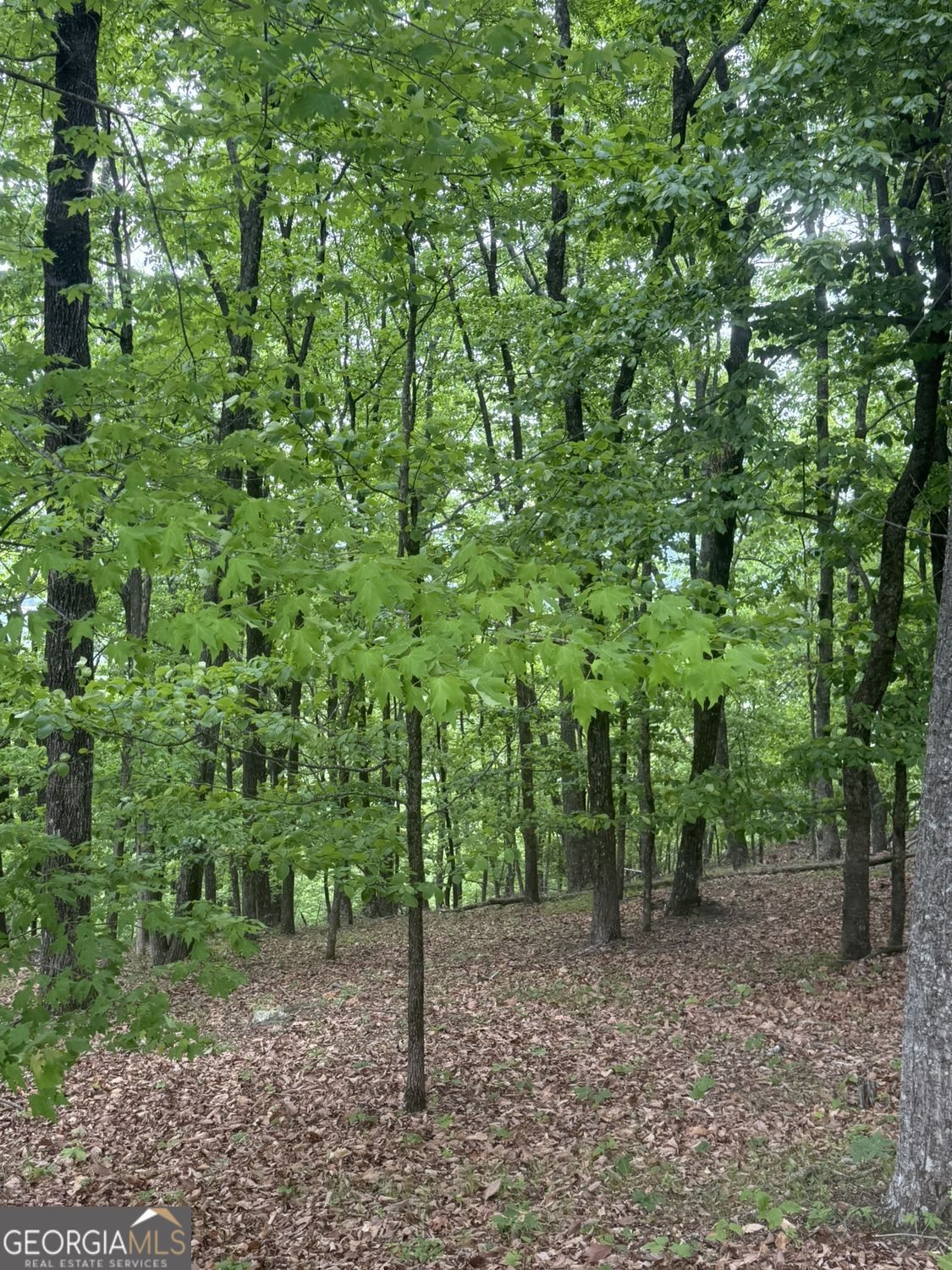 Lot 38 Mountainside Drive Cleveland GA 30528