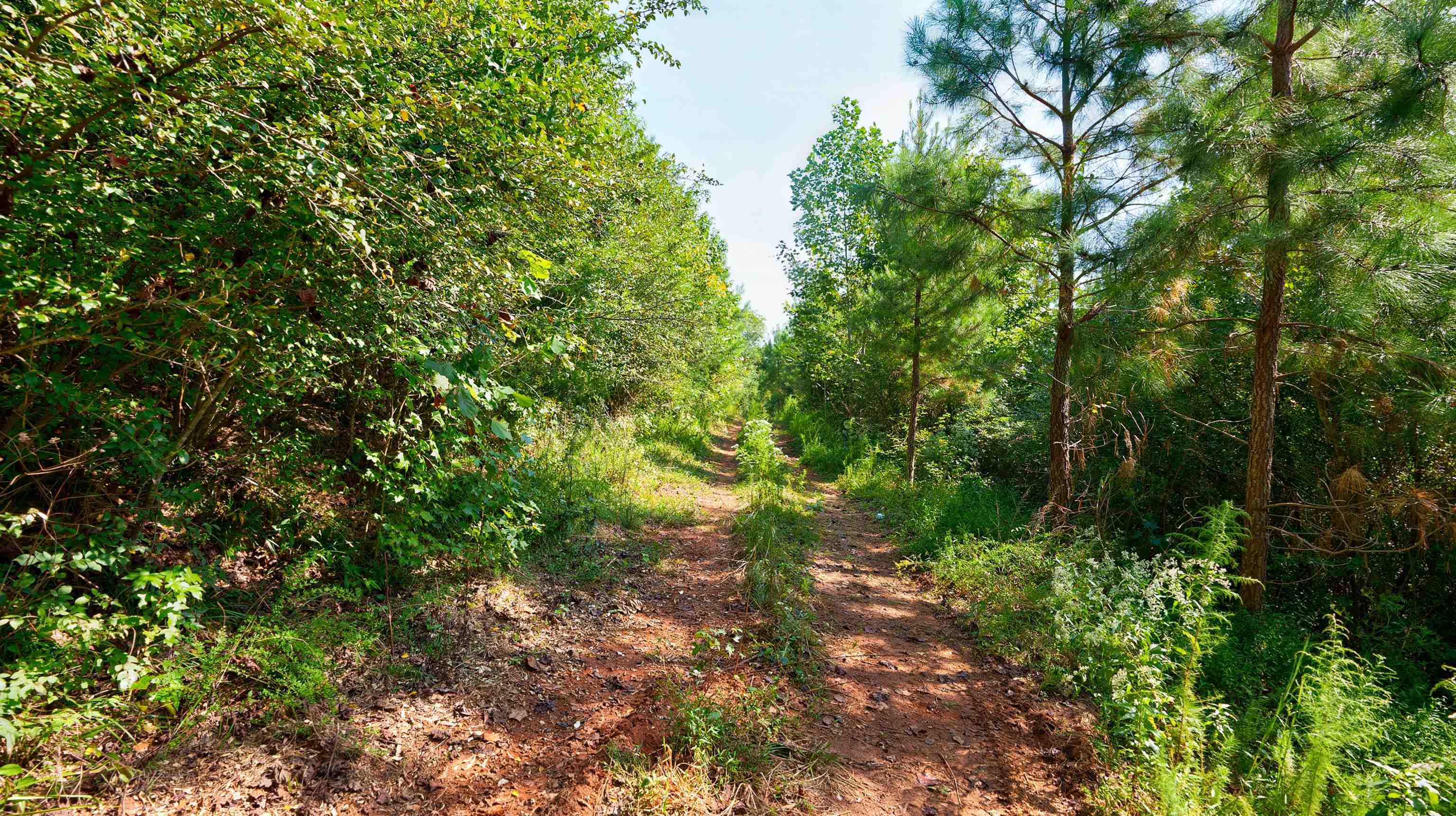 0 Mccoy Bridge Road Homer GA 30547