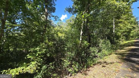 Lot 1b Victoria Woods Hiawassee GA 30546